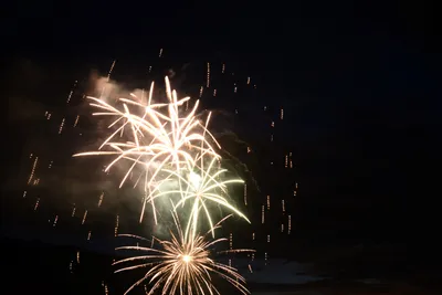 DSC_3354 (Large).JPG